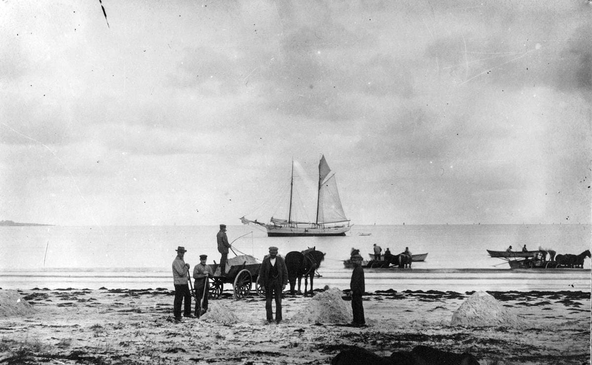 Get Store strand billeder For Android Store Strand Billeder